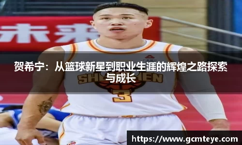 贺希宁：从篮球新星到职业生涯的辉煌之路探索与成长